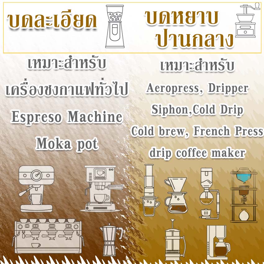 เมล็ดกาแฟ เอสเพรสโซเบลน คั่วกลาง 500 กรัม / Espresso Blend Medium Roast 500g. - รูปที่ 2