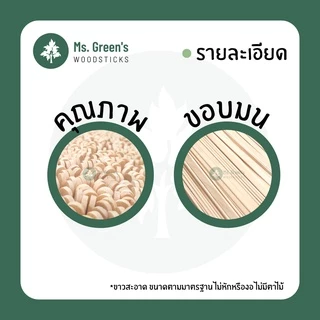 ไม้คนกาแฟ ที่คนกาแฟ ใช้แล้วทิ้ง DIY ราคาถูก 140 มม. / 178 มม. เกรด A มน | Ms.Green's