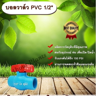 บอลวาล์ว PVC 1/2” (4 หุน) ตราลัคกี้ 4 หุนครึ่งนิ้ว ประตูเปิดปิดน้ำ บอลวาล์วพีวีซี แบบสวม Ball Valve ร้านallaboutplants