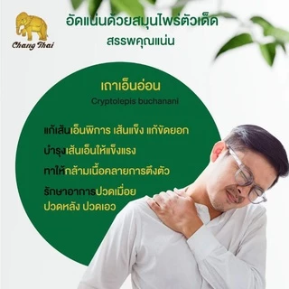 ยาหม่องเขียว ผสมเถาเอ็นอ่อน ตราช้างไทย