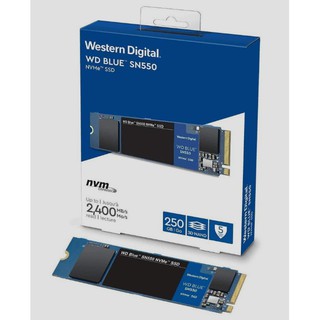 WD บลู เอสเอ็น550 250GB NVMe M.2 2280