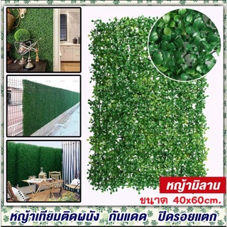 (ราคาส่ง!!!) กำแพงหญ้าเทียมมิลาน 60x40cm. กำแพงหญ้าเทียม สีสันสดใส กำแพงสวน รั้ว ต้นไม้เทียม หญ้าติดผนัง กันแดดกันฝน