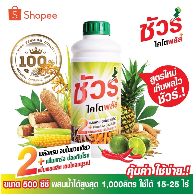 ชัวร์ไคโตพลัส พืชเติบโตสมบูรณ์ ฟื้นต้นโทรม ป้องกันโรคพืชแมลง เขียวทนเขียวนาน เพิ่มผลผลิตเท่าตัว!