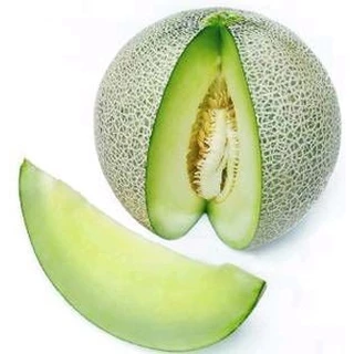 เมล่อน ปริ๊นเซส เจียไต๋ 30เมล็ด เมล็ดพันธุ์เมล่อน Melon