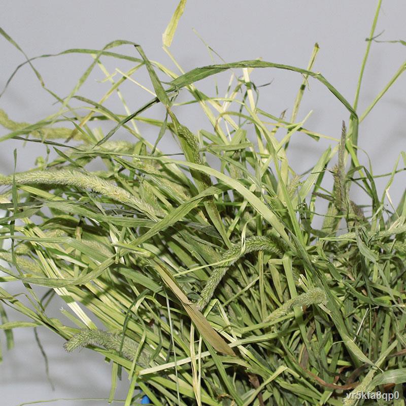 มีจำหน่ายในกทมราคาต่ำสุด ♤Timothy Grass Guinea Pig หนูตะเภา Chinchilla Rabbit Grain Feed อาหาร