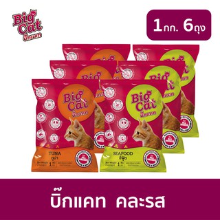 [ส่งฟรี] อาหารแมว บิ๊กแคท (Big Cat) ขนาด 1kg x 6ถุง อาหารแมวแบบแห้ง ชนิดเม็ด