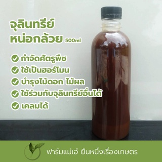 หัวเชื้อจุลินทรีย์หน่อกล้วย ชนิดน้ำ ขนาด 500ml. (เก็บเงินปลายทาง)