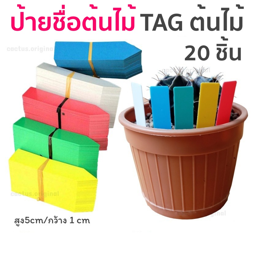 ป้ายชื่อต้นไม้ แท็กต้นไม้ แคคตัส (กระบองเพชร ) เป็น tag พลาสติก PVC ขนาด กว้าง 1xยาว5 เซน ชุด 20 ชิ้น