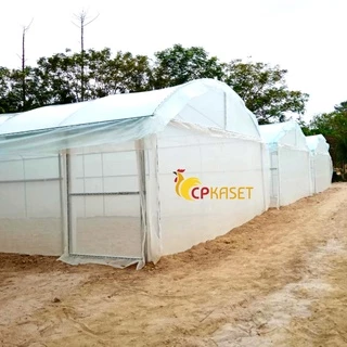 พลาสติกคลุมโรงเรือน Greenhouse ของแท้ PE กว้าง 5-8 ม. หนา100-200ไมครอน กันUV7% อายุ3-5ปี ขายเป็นเมตร