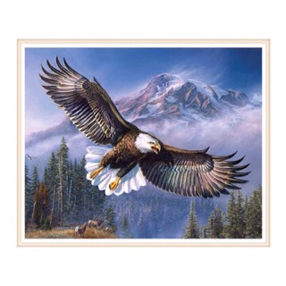 ภาพครอสติสคริสตัลแบบติดเต็มแผ่น USA Eagle