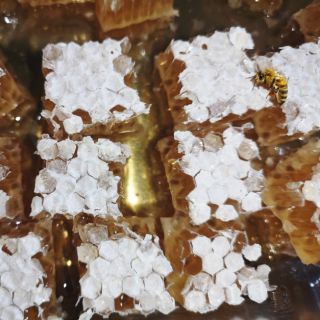 รวงผึ้ง​ฉ่ำๆ​ แถมช้อน พร้อมทานขนาดทดลอง ชิ้นไม่ใหญ่ ปริมาณ​2…