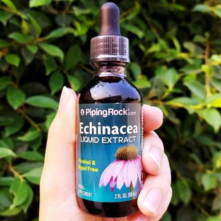 สารสกัดเข้มข้นเอ็กไคนาเซีย แบบน้ำ Echinacea Liquid Extract 59 mL Dropper Bottle (Piping Rock®)