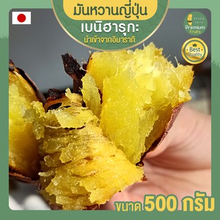 มันหวานญี่ปุ่น เบนิฮารุกะ ขนาด 500g มันญี่ปุ่นหวาน มันหวานญี่ปุ่นแท้ มันหวานญี่ปุ่นเบนฮารุกะ เบนฮารุกะญี่ปุ่นแท้