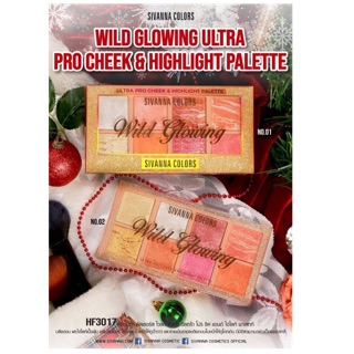 HF3017 WILD GLOWING ULTRA PRO CHEEK &amp; HIGHLIGHT PALETTE