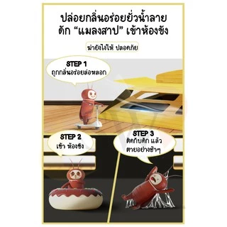 🚚 ส่งไว 🚚 บ้านแมลงสาบ บ้านดักแมลง แมลงวัน จิ้งจก แมลงสาบ มด สินค้าใหม่ ปลอดภัยไม่มีสารเคมี บ้านแมลงสาป บ้านดักจิ้งจก