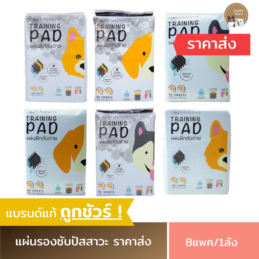 [ราคาส่ง] Hajiko ฮาจิโกะ (8แพ็ค/1ลังคละไซส์ได้) แผ่นรองฉี่ ช่วยฝึกขับถ่าย ซึมซับดี ไม่รั่วไหล
