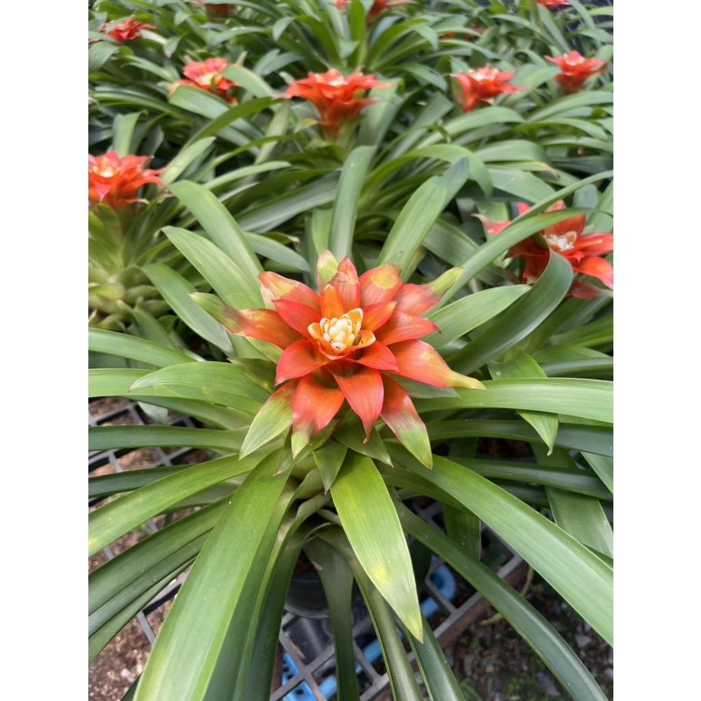 มุมมอง 4