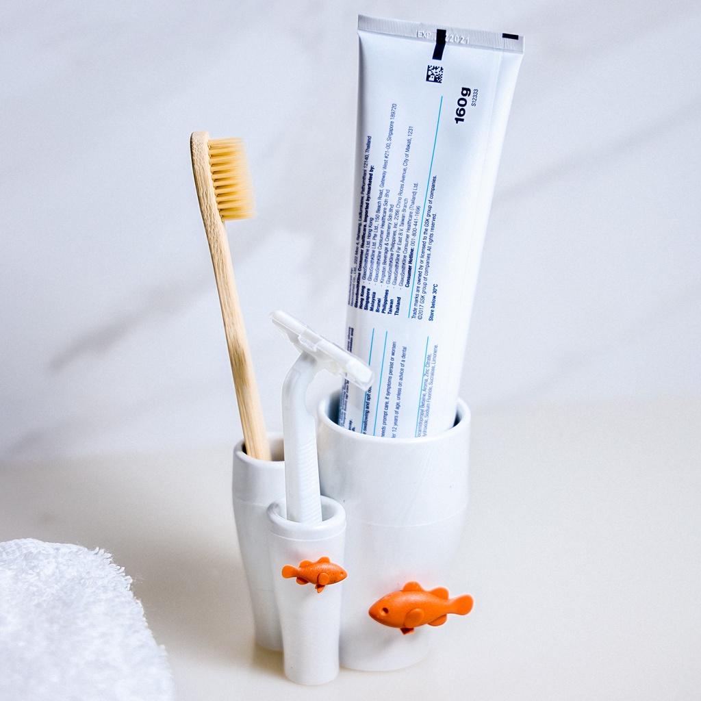 Coral toothbrush holder ที่เก็บแปรงสีฟัน ยาสีฟัน  ที่ใส่ของ ดีไซน์ ปะการัง  Qualy (ควอลี่)