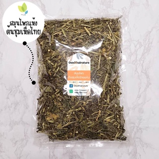 ต้นชุมเห็ดไทยตากแห้ง ต้นชุมเห็ดไทยแห้ง ขนาด 100 กรัม ต้นชุมเห็ดไทย (Foetid Cassia Dried) สมุนไพร ต้นชุมเห็ดไทย