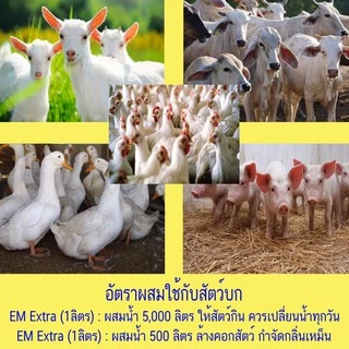 EM หัวเชื้อจุลินทรีย์ อีเอ็มชีวภาพ (ขนาด1ลิตร)