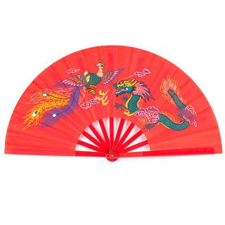 Chinese Kung Fu Fan Tai Chi Martial Arts Dragon Phoenix Plastic Handheld Folding