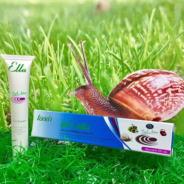 Ella scar cream 20 g เอลล่าสรีม ครีมลดริ้วรอย ครีมบำรุงผิว ครีมลดรอยแผลเป็น ลดรอยสิว รอยดำ รอยแดง เม