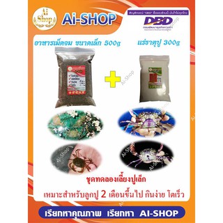 อาหารปูนา ชุดทดลองเลี้ยงขนาดเล็ก อาหารเม็ดจมเม็ดเล็ก 500g แร่ธาตุปู 300g อาหารปูน้ำไม่เสีย โปรตีนสูง โตเร็ว จัดส่งเร็ว