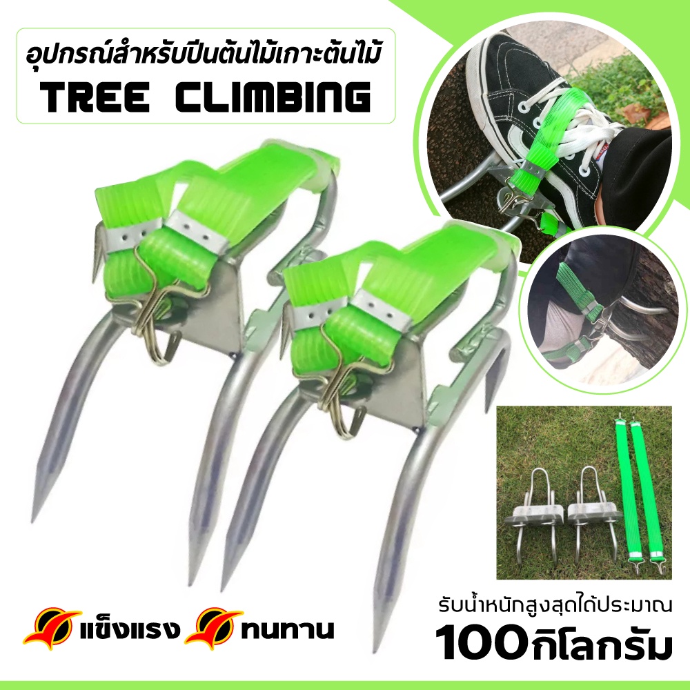 ที่ปีนต้นไม้ อุปกรณ์ปีนต้นไม้ Tree Climbing ลวดผูกรองเท้าพิเศษกรงเล็บอเนกประสงค์