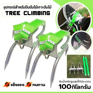 ที่ปีนต้นไม้ อุปกรณ์ปีนต้นไม้ การปีนต้นไม้ อุปกรณ์ปีนต้นไม้ Tree Climbing ลวดผูกรองเท้าพิเศษกรงเล็บต้นไม้อเนกประสงค์