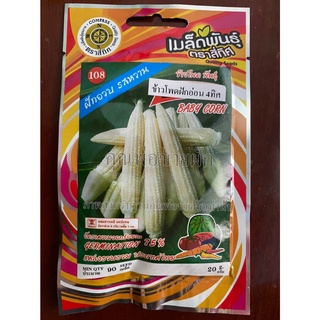 เมล็ดข้าวโพดฝักอ่อน 10 แถม 1 ข้าวโพดอ่อน ข้าวโพด baby corn เมล็ดพันธุ์ผัก