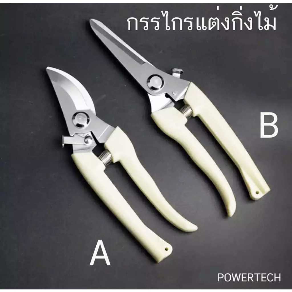กรรไกร ทำสวน กรรไกรตัดแต่งกิ่ง กรรไกรแต่งสวน อุปกรณ์ทำสวน