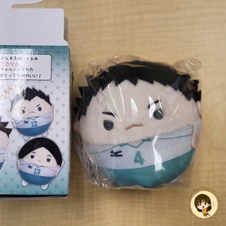 ของสะสม ฟุวะ อิวะจัง Haikyuu!! Fuwakororin Hajime Iwaizumi จากกล่องสุุ่ม