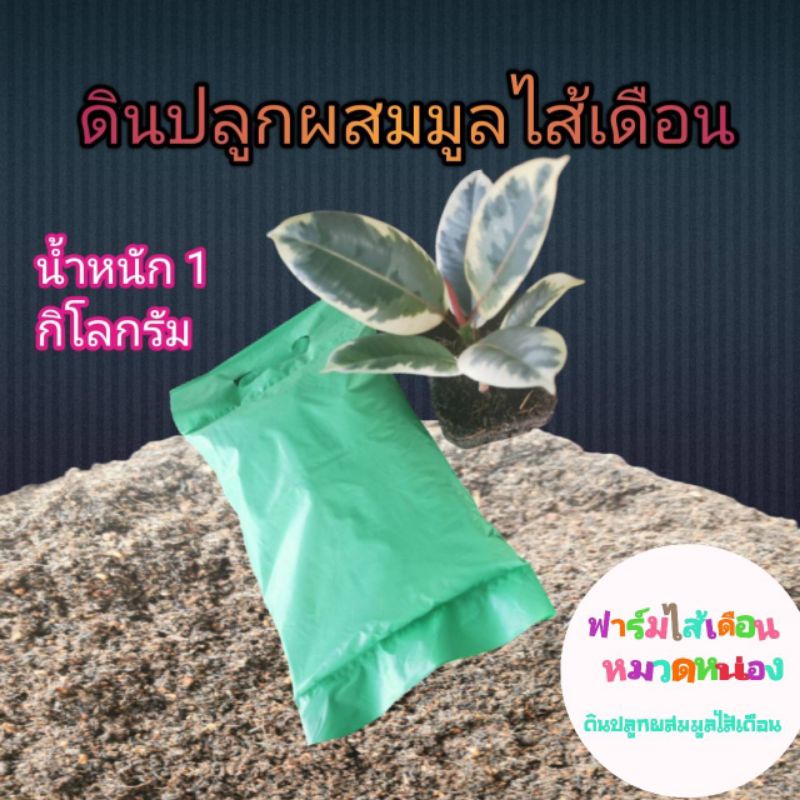 ดินพร้อมปลูกผสมมูลไส้เดือน  สูตรพิเศษ
