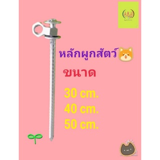 หลักผูกสัตว์หลักผูกวัวหลักผูกสุนัข