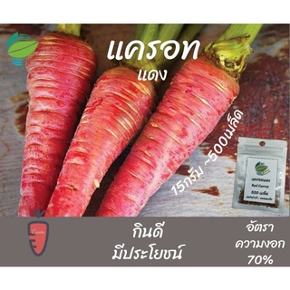 แครอทแดง (Red Carrot)