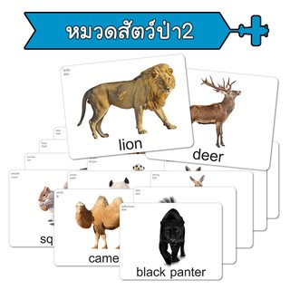 ราคาแฟลชการ์ด หมวดสัตว์ป่า2 บัตรคำ แนวการสอนเดียวกับ ชิจิดะ เฮกุรุ บัตรคำศัพท์  Flashcard