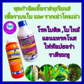 ชุด กำจัดเชื้อราทุเรียน ยาเชื้อรา แกรนด์ฟอส 1 ลิตร +เฮกซะโคนาโซล 1 ลิตร โรคใบติด ใบไหม้ รากเน่าโคนเน่า ไฟท๊อปธอร่า ใบจุด