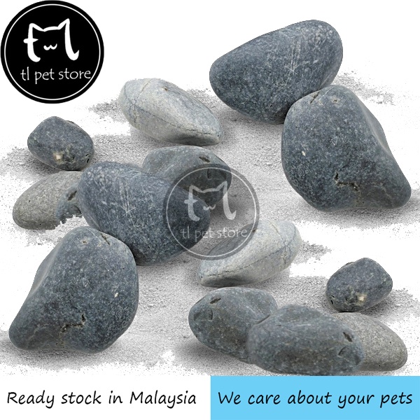 1 กก. สี PEBBLE STONE GARDEN LANDSCAPE HOME DECO AQUARIUM PEANUT STONE HOME DECORTATION