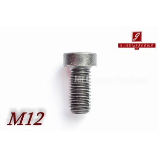 น็อตหัวจมหัวเตี้ยพิเศษ M12x25