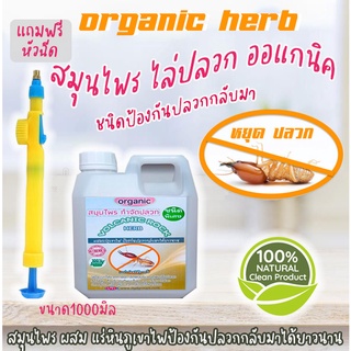 ชุดสมุนไพร ไล่ปลวก 1ลิตร ผสมแร่ภูเขาไฟ(ผสมได้5เท่า)​ช่วยป้องกันปลวกกลับมาได้ยาวนาน  ฟรีหัวฉีดแรงดันสะดวกในการใช้งานง่าย