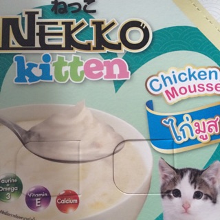 Nekko kitten