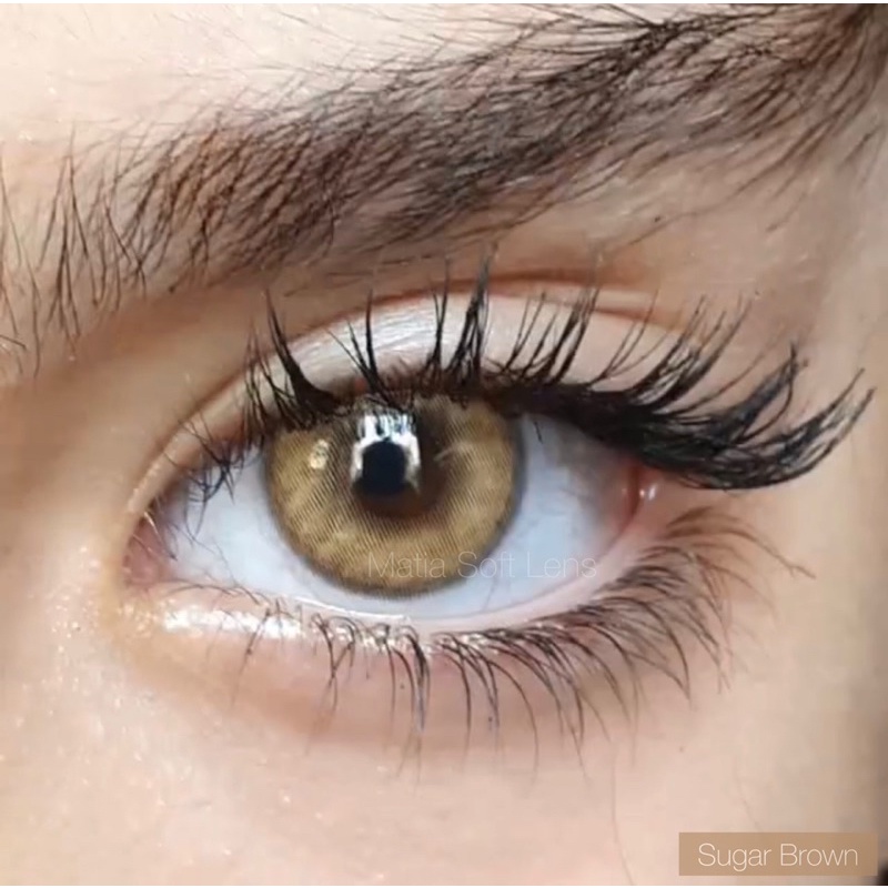 รุ่น Sugar Brown คอนแทคเลนส์สายฝอ (มีค่าสายตา)