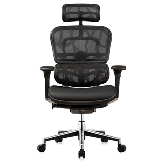 DF Prochair | เก้าอี้เพื่อสุขภาพ รุ่น Ergo2 ML