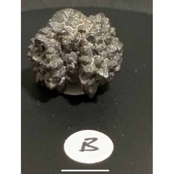 Leound Lola石 Prophecy Stone