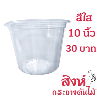 กระถางใสส่องราก 10 นิ้ว