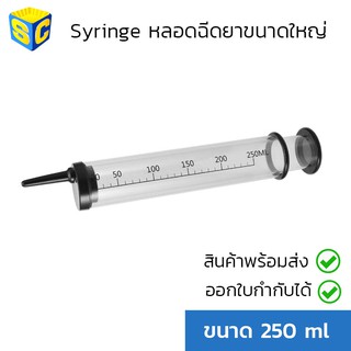 Syringe หลอดฉีดยาขนาดใหญ่ 250 ml