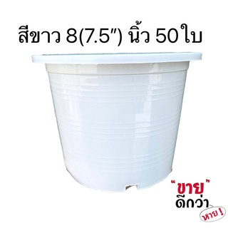 กระถางต้นไม้สีขาว 8 นิ้ว(วัดจริง7.5นิ้ว) ชุด 50 ใบ