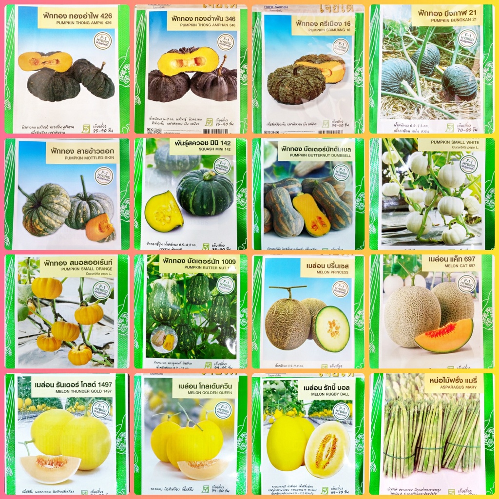 เมล็ดพันธุ์ผัก เจียไต๋ ผักซอง ทองอำไพ ทองอำพัน ฟักทองศรีเมือง ฟักทองบึงกาฬ เมล่อน หน่อไม้ฝรั่ง บัตเตอร์นัท แคนตาลูป