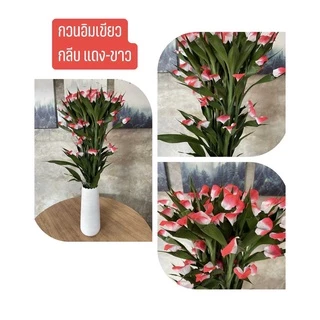 ไผ่กวนอิมแต่งกลีบดอก ไผ่กวนอิมเขียว ไผ่กวนอิม