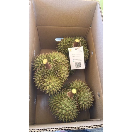 ทุเรียนหมอนทอง 899.-